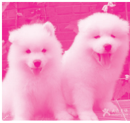 Does An IQ Test Prove Creativity?